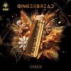 Buy Ace Ultra Premium Love Edition GingerBread in stock now for sale, Ace Ultra Mixed Flavors (25 Pk) in stock, buy Ace Ultra Premium Gummies for sale.